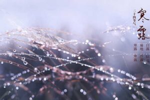 二十四节气寒露含义是什么-波若密