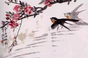 为何说最怕燕子做窝一半不做了?-波若密