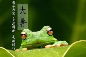 盘点关于大暑节气的4言绝句古诗词-波若密