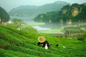 春分象征着什么-波若密