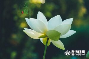 立夏节气的含义是什么-波若密