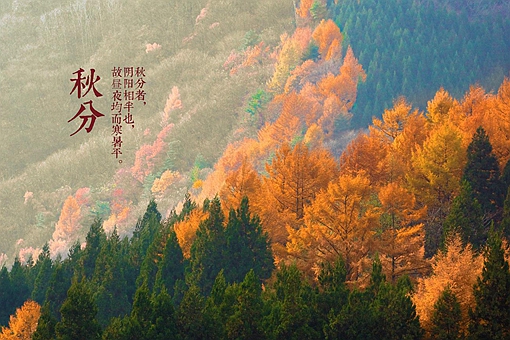 秋分的优美诗词-波若密