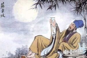 苏东坡为什么被贬官-波若密