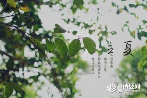 关于立夏节气的含义是什么-波若密