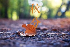 秋分的来源-波若密