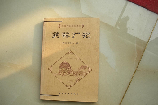笑林广记是谁写的?-波若密