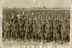 九一八事变东北几十万大军为什么不抵抗?-波若密