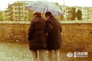 俗语一日夫妻百日恩中的日是什么意思-波若密