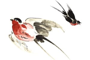 燕子窝一般住几年?什么情况下会弃窝？-波若密