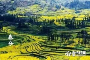 春分诗词民谚俗语 关于春分谚语有哪些-波若密