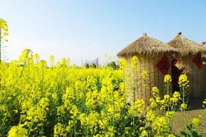 春分古诗词十二首推荐 每一首都春意盎然-波若密