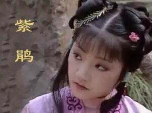 紫鹃是什么身份？她是谁的丫鬟？-波若密