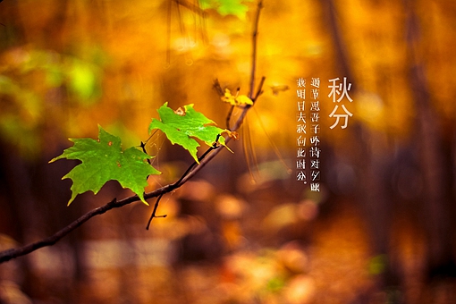 秋天古诗最好的10首(含赏析)-波若密