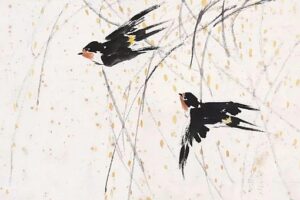 家里有燕子窝说要发财是真的吗？-波若密