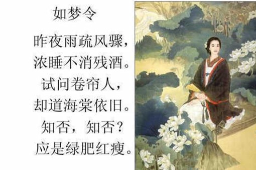 李清照《如梦令·昨夜雨疏风骤》诗词原文赏析-波若密