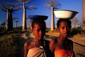 马达加斯加是谁的殖民地-波若密