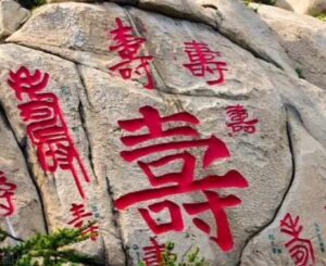 陈俊是什么出身？他的真实寿命是多少岁？-波若密