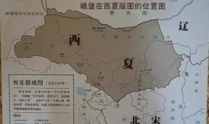 金国百万虎狼之师，为何无法消灭小小的西夏？-波若密