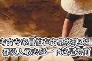 考古者为什么害怕发现鸡蛋-波若密