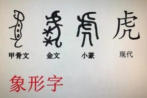 虎这个姓氏的由来-波若密