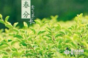 关于春分的优美句子-波若密