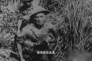 仁安羌大捷是谁指挥的-波若密