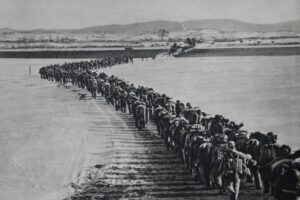 为何围城打援战术在朝鲜战争当中不起作用?-波若密