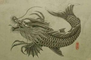 鱼变龙和蛇变龙的区别是什么-波若密