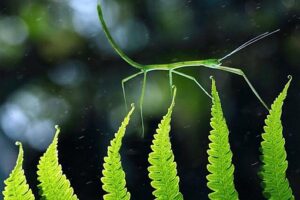 算命不给三种人算命是哪三种人-波若密