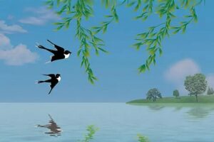 千古名篇燕燕到底是谁写的?-波若密