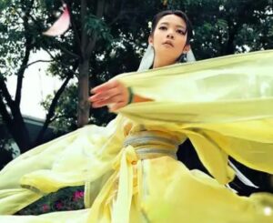 黄衫女子武功什么水平？武功有什么特点存在？-波若密