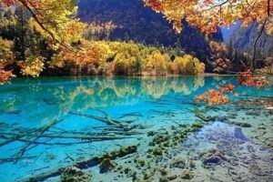 成语七月流火的真正含义-波若密