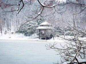 张打油咏雪有什么坏处?造成了怎样的影响?-波若密