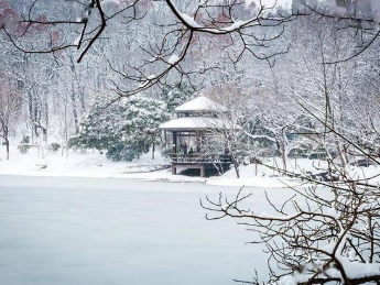 张打油咏雪有什么坏处？造成了怎样的影响？-波若密
