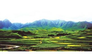 伯夷之义是什么意思？有什么典故？-波若密