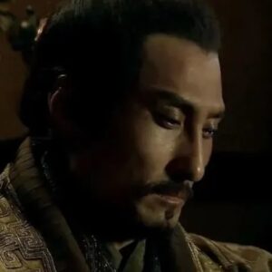 张敖的后代当王了吗?历史上是怎么记载的?-波若密