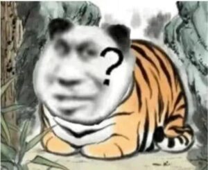 虎作姓氏时念“māo”吗?专家说了是真的-波若密