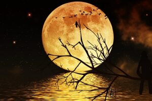 千里共婵娟和露似真珠月似弓哪句诗词描写的是中秋的月亮-波若密