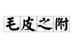 成语毛皮之附是什么意思?-波若密