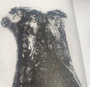 廪辛是什么读音？怎么读拼音？-波若密