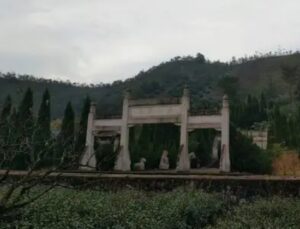 南宋谢深甫是什么人？八个儿子分别是谁？-波若密