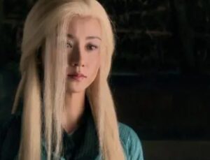 瑛姑的儿子被谁所伤?当时的情况是怎样的?-波若密