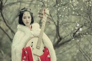 白头吟是谁写的?讲了什么样的故事?-波若密